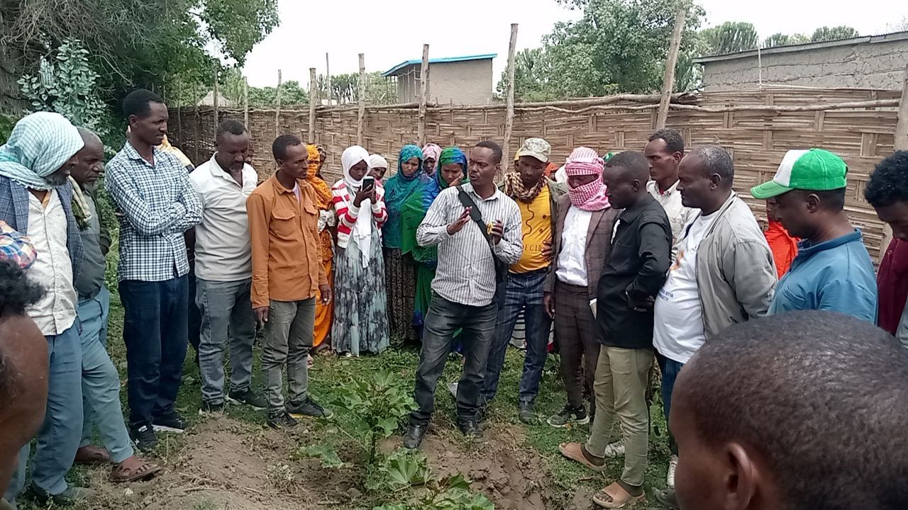 Farmers in PIP training