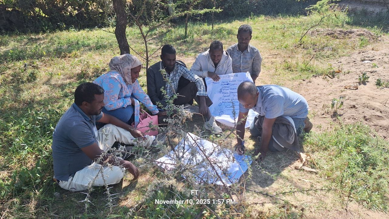 Capacity building