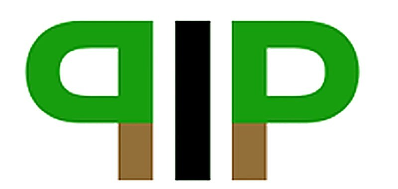 PIP Project